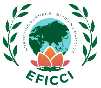 EFICCI Logo